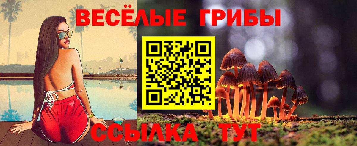 Галлюциногенные грибы MAGIC MUSHROOMS Октябрьский