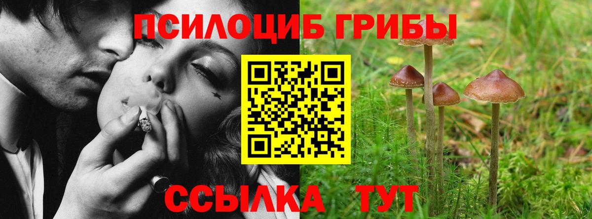 Псилоцибиновые грибы мухоморы  Вход с VPN  Октябрьский 